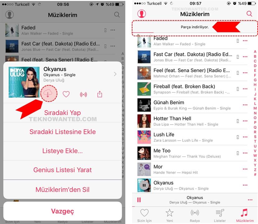 iTunes Apple iPhone Çevrimdışı müzik dinleme(5)